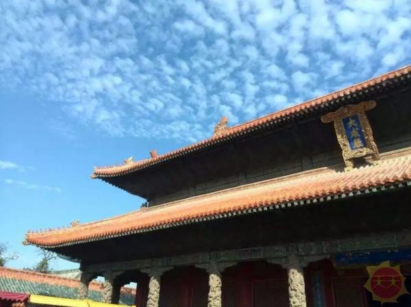 山东，古老与现代交融的土地之声